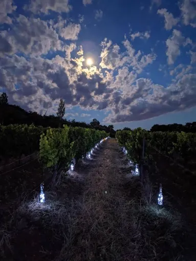 Les Studios TU ELLETA vous font découvrir le domaine de la Bouvaude tous les soirs de l'été 2024 à Rousset-les-Vignes, Saint-Paul-Trois-Châteaux, La Villa Tria Castella