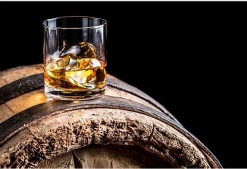 Plongez dans l'Univers du Whisky avec le Stage "À la Découverte du Whisky" à l'Université du Vin de Suze-la-Rousse, Saint-Paul-Trois-Châteaux, La Villa Tria Castella